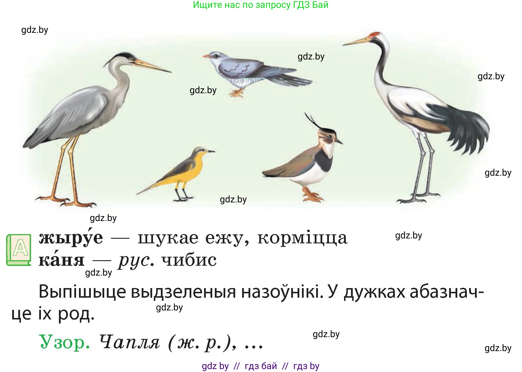 Белорусский язык (Беларуская мова), 3 класс Учебник, автор: Свірыдзенка Вольга Іванаўна, издательство Нацыянальны інстытут адукацыі, Минск, 2023, зелёного цвета, Частка 2, страница 62, номер 105, Условие (продолжение 2)