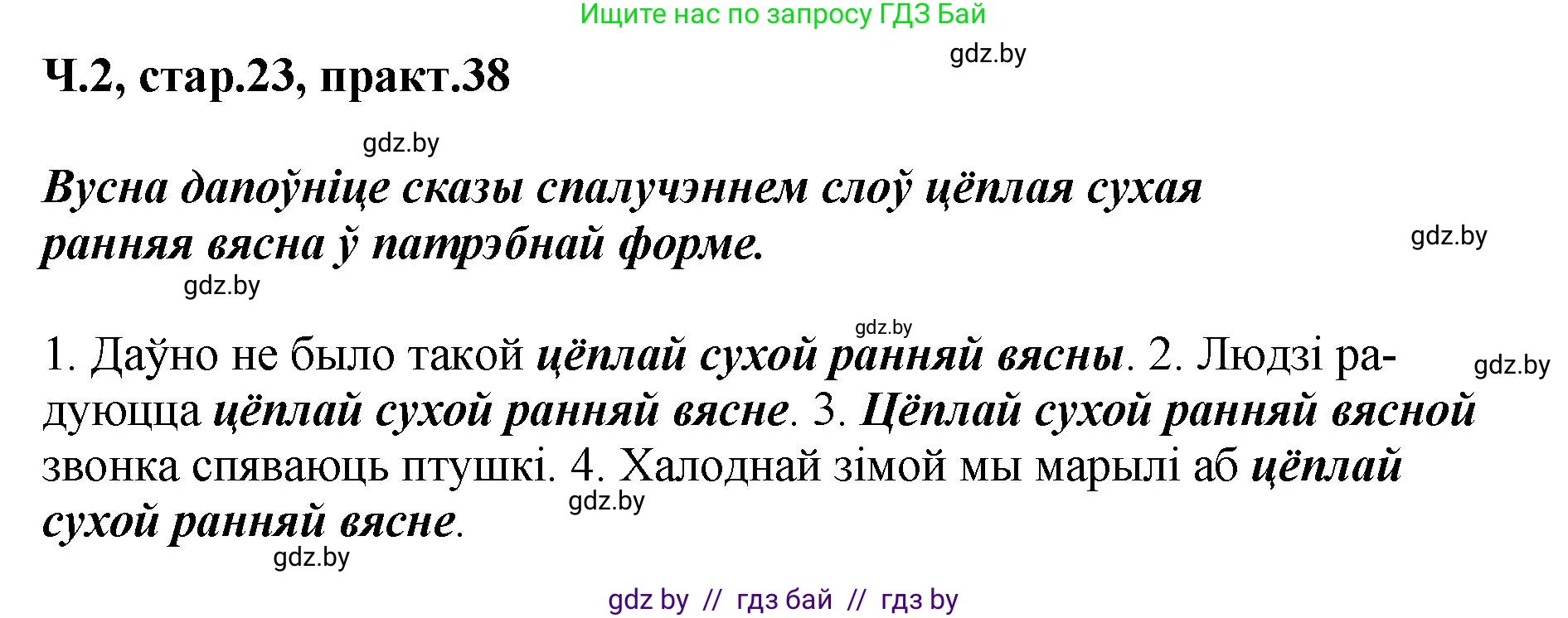 Белорусский язык (Беларуская мова), 4 класс Учебник, автор: Свірыдзенка Вольга Іванаўна, издательство Нацыянальны інстытут адукацыі, Минск, 2024, голубого цвета, Частка 2, страница 23, номер 38, Решение 2024