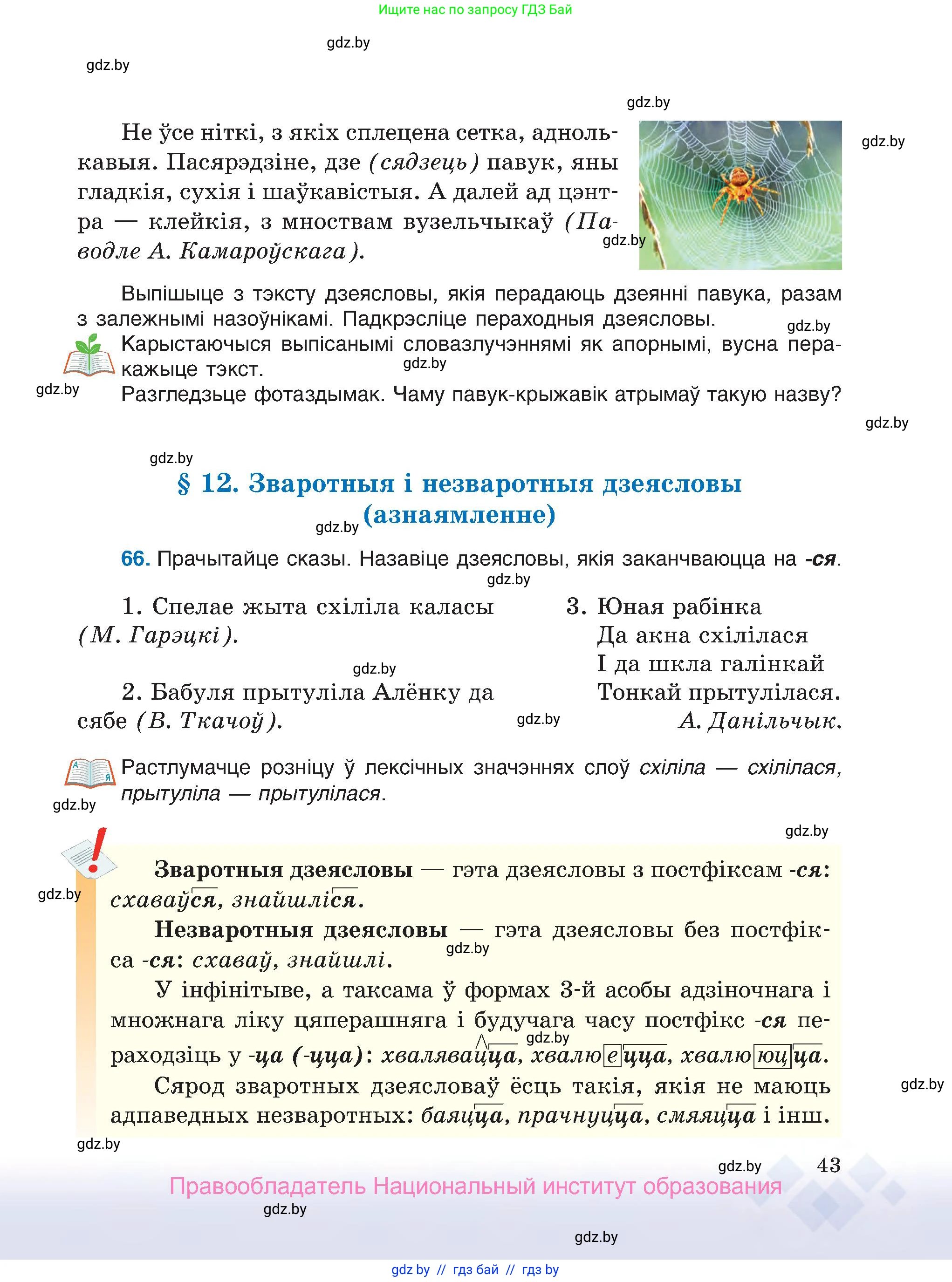 Белорусский язык (Беларуская мова), 7 класс Учебник, авторы: Валочка Ганна Міхайлаўна, Зелянко Вольга Уладзіміраўна, Язерская Святлана Анатольеўна, издательство Нацыянальны інстытут адукацыі, Минск, 2020, страница 43