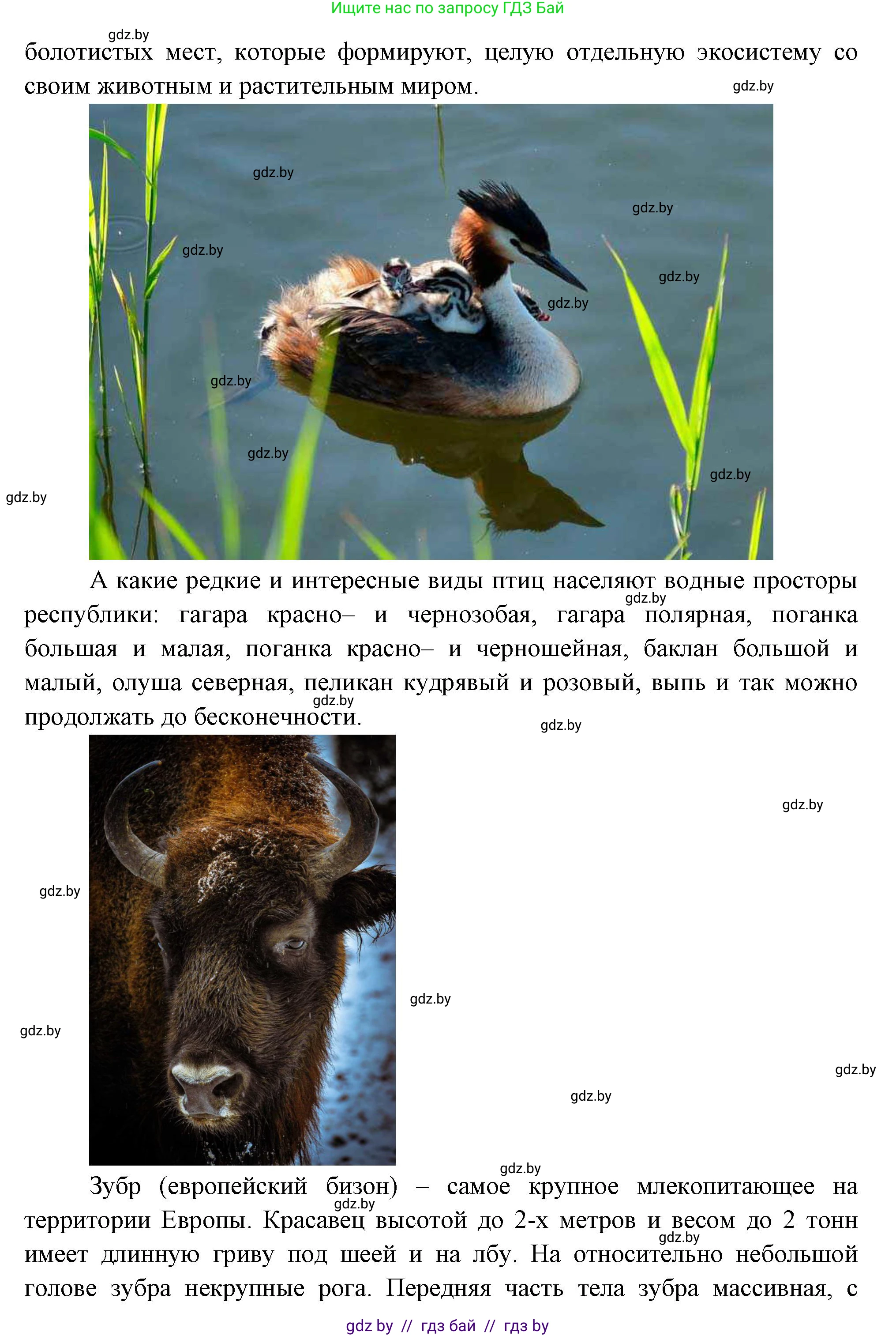 Биология, 6 класс рабочая тетрадь, авторы: Лисов Николай Дмитриевич, Борщевская Елена Валерьевна, издательство Аверсэв, Минск, 2021, жёлтого цвета, страница 7, номер 4, Решение (продолжение 2)