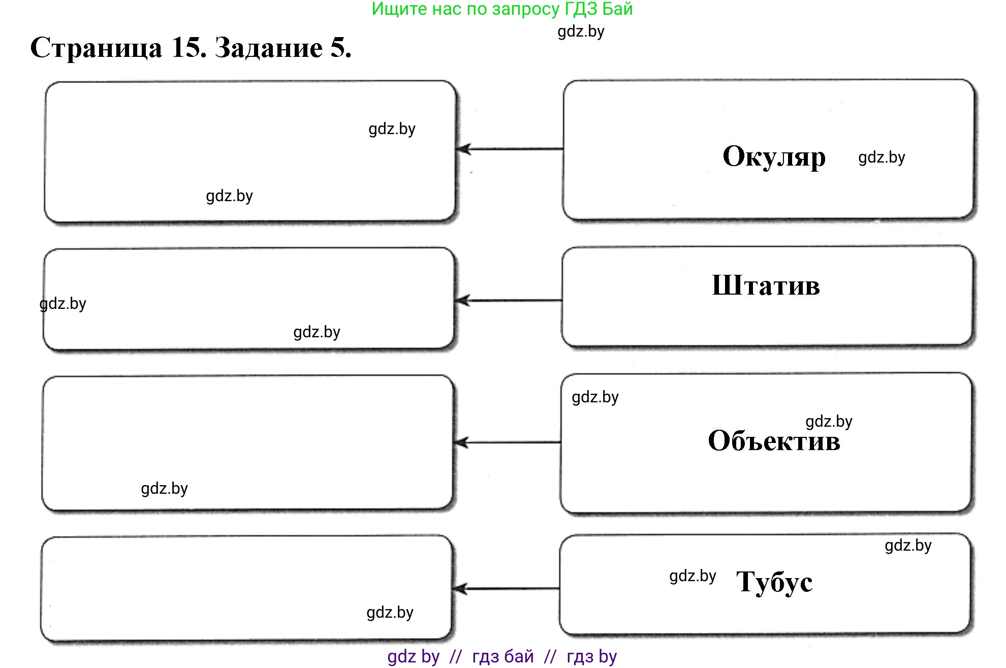 Биология, 6 класс рабочая тетрадь, авторы: Лисов Николай Дмитриевич, Борщевская Елена Валерьевна, издательство Аверсэв, Минск, 2021, жёлтого цвета, страница 15, номер 5, Решение