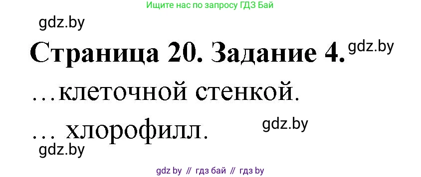 Биология, 6 класс рабочая тетрадь, авторы: Лисов Николай Дмитриевич, Борщевская Елена Валерьевна, издательство Аверсэв, Минск, 2021, жёлтого цвета, страница 20, номер 4, Решение