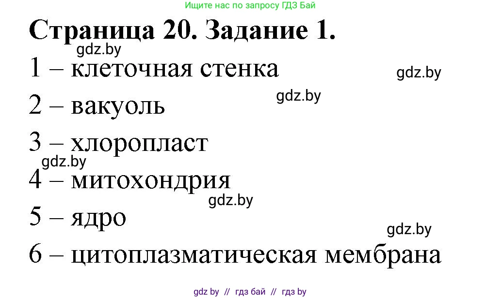 Биология, 6 класс рабочая тетрадь, авторы: Лисов Николай Дмитриевич, Борщевская Елена Валерьевна, издательство Аверсэв, Минск, 2021, жёлтого цвета, страница 20, номер 1, Решение