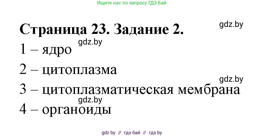 Биология, 6 класс рабочая тетрадь, авторы: Лисов Николай Дмитриевич, Борщевская Елена Валерьевна, издательство Аверсэв, Минск, 2021, жёлтого цвета, страница 23, номер 2, Решение