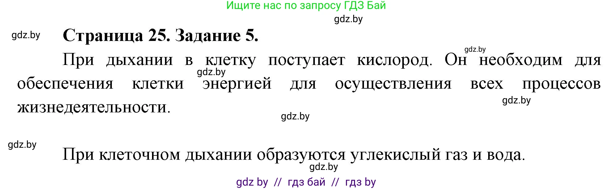 Биология, 6 класс рабочая тетрадь, авторы: Лисов Николай Дмитриевич, Борщевская Елена Валерьевна, издательство Аверсэв, Минск, 2021, жёлтого цвета, страница 25, номер 5, Решение