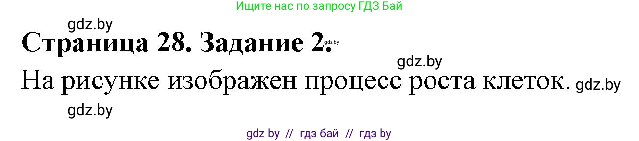 Биология, 6 класс рабочая тетрадь, авторы: Лисов Николай Дмитриевич, Борщевская Елена Валерьевна, издательство Аверсэв, Минск, 2021, жёлтого цвета, страница 28, номер 2, Решение