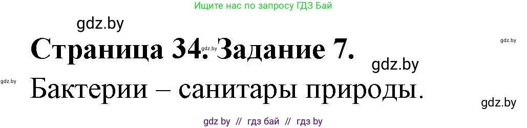 Биология, 6 класс рабочая тетрадь, авторы: Лисов Николай Дмитриевич, Борщевская Елена Валерьевна, издательство Аверсэв, Минск, 2021, жёлтого цвета, страница 34, номер 7, Решение
