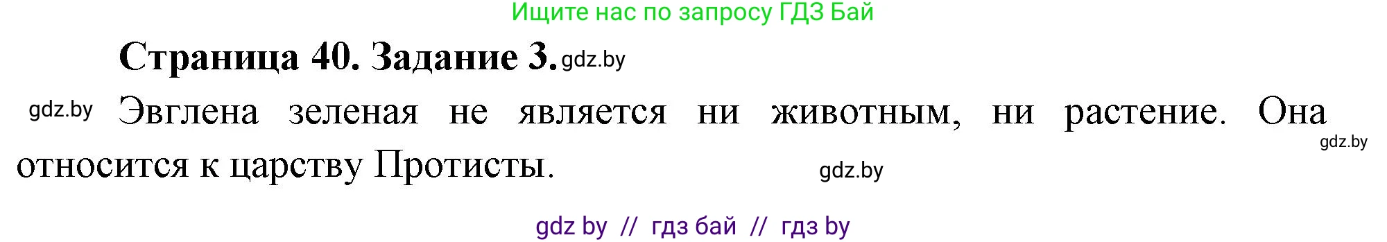 Биология, 6 класс рабочая тетрадь, авторы: Лисов Николай Дмитриевич, Борщевская Елена Валерьевна, издательство Аверсэв, Минск, 2021, жёлтого цвета, страница 40, номер 3, Решение