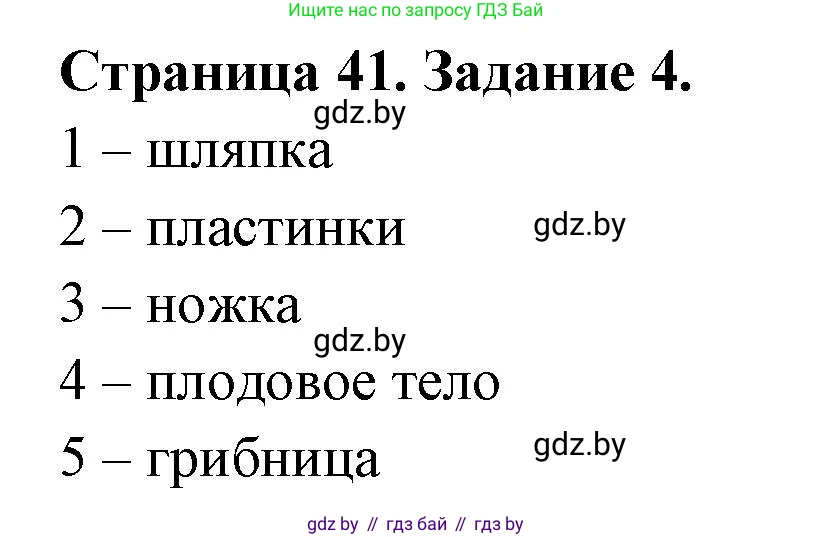 Биология, 6 класс рабочая тетрадь, авторы: Лисов Николай Дмитриевич, Борщевская Елена Валерьевна, издательство Аверсэв, Минск, 2021, жёлтого цвета, страница 41, номер 4, Решение