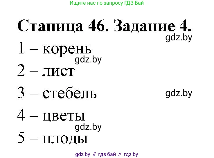 Биология, 6 класс рабочая тетрадь, авторы: Лисов Николай Дмитриевич, Борщевская Елена Валерьевна, издательство Аверсэв, Минск, 2021, жёлтого цвета, страница 46, номер 4, Решение