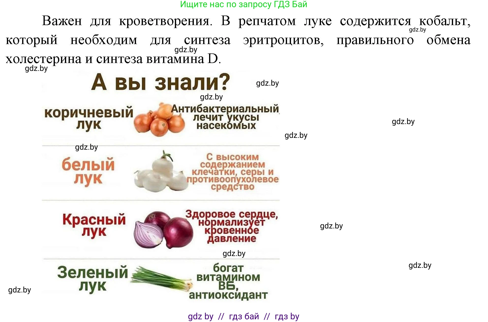 Биология, 6 класс рабочая тетрадь, авторы: Лисов Николай Дмитриевич, Борщевская Елена Валерьевна, издательство Аверсэв, Минск, 2021, жёлтого цвета, страница 55, номер 3, Решение (продолжение 2)
