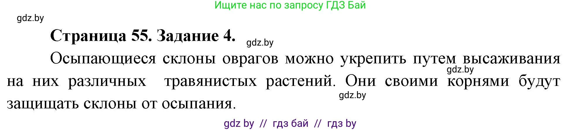 Биология, 6 класс рабочая тетрадь, авторы: Лисов Николай Дмитриевич, Борщевская Елена Валерьевна, издательство Аверсэв, Минск, 2021, жёлтого цвета, страница 55, номер 4, Решение
