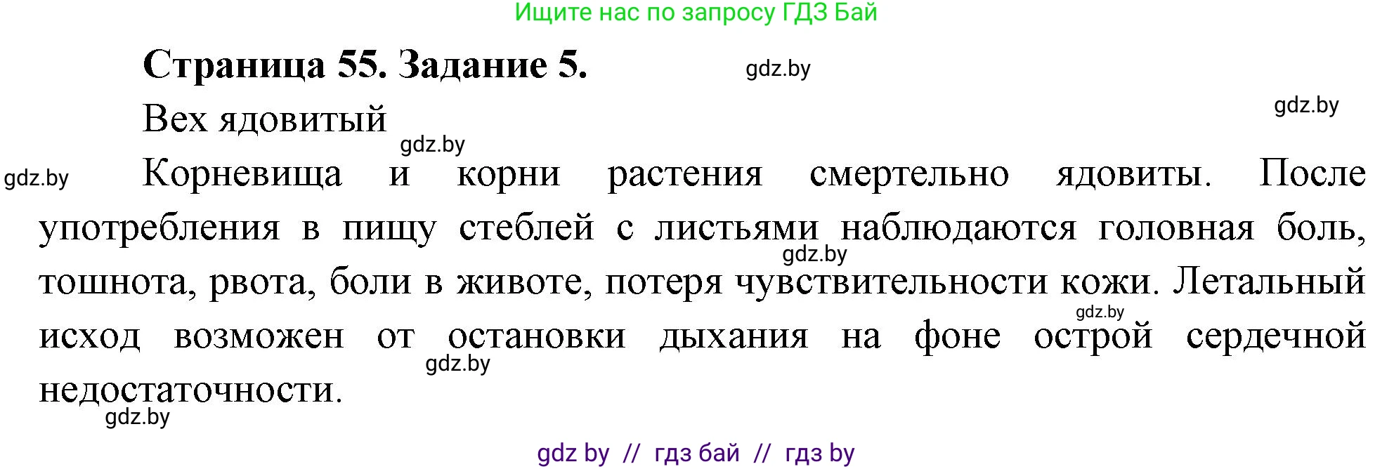 Биология, 6 класс рабочая тетрадь, авторы: Лисов Николай Дмитриевич, Борщевская Елена Валерьевна, издательство Аверсэв, Минск, 2021, жёлтого цвета, страница 55, номер 5, Решение