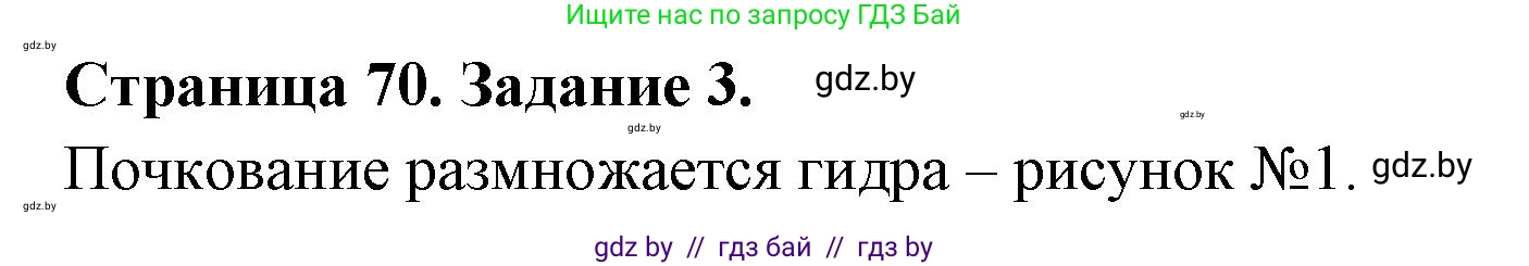 Биология, 6 класс рабочая тетрадь, авторы: Лисов Николай Дмитриевич, Борщевская Елена Валерьевна, издательство Аверсэв, Минск, 2021, жёлтого цвета, страница 70, номер 3, Решение