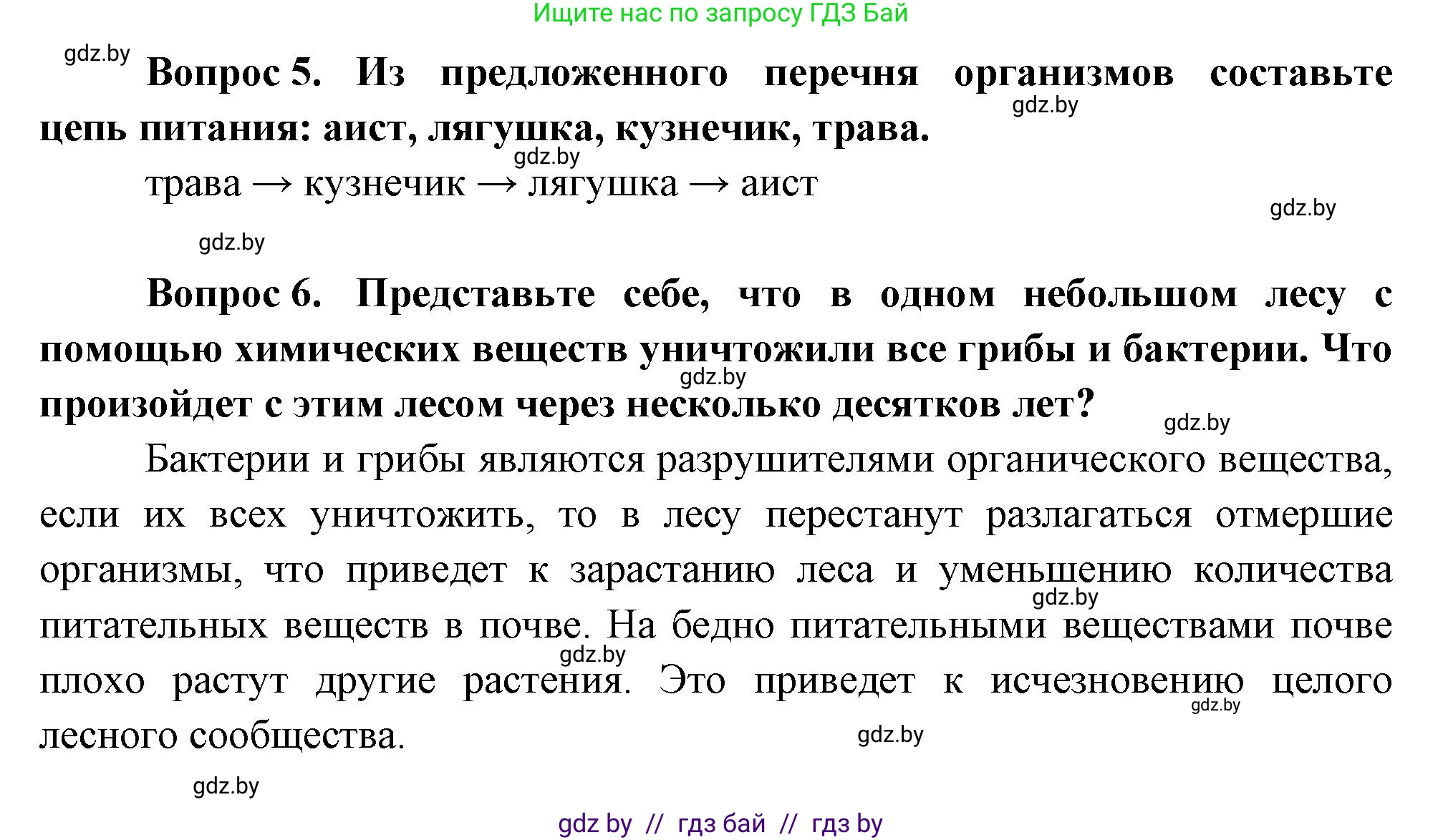 Биология, 6 класс рабочая тетрадь, авторы: Лисов Николай Дмитриевич, Борщевская Елена Валерьевна, издательство Аверсэв, Минск, 2021, жёлтого цвета, страница 81, номер 10, Решение (продолжение 2)