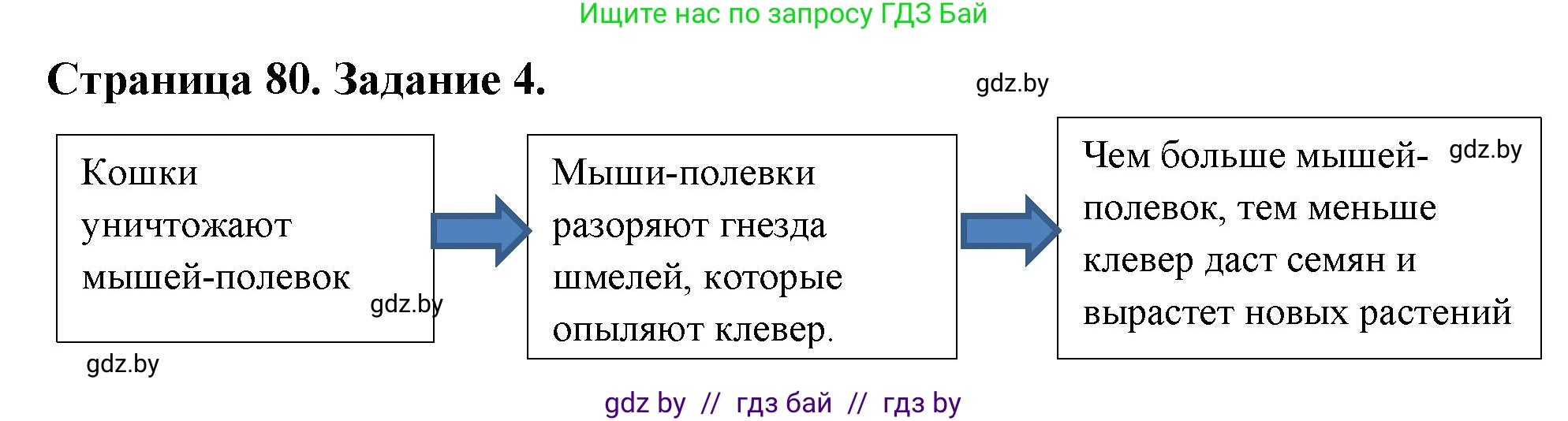 Биология, 6 класс рабочая тетрадь, авторы: Лисов Николай Дмитриевич, Борщевская Елена Валерьевна, издательство Аверсэв, Минск, 2021, жёлтого цвета, страница 80, номер 4, Решение