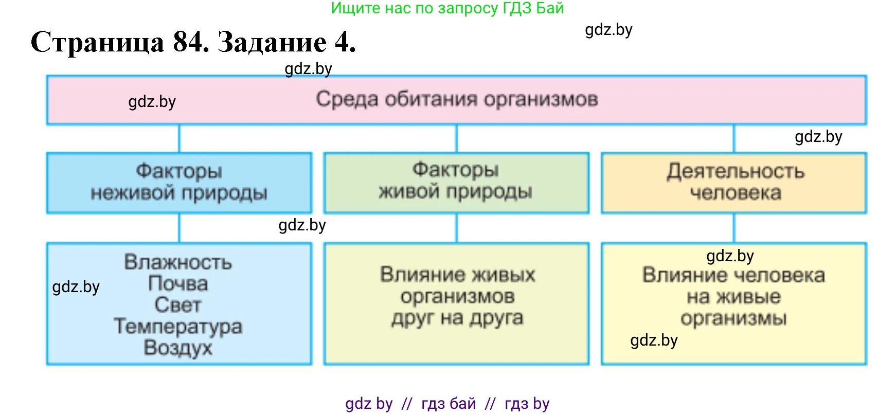 Биология, 6 класс рабочая тетрадь, авторы: Лисов Николай Дмитриевич, Борщевская Елена Валерьевна, издательство Аверсэв, Минск, 2021, жёлтого цвета, страница 84, номер 4, Решение