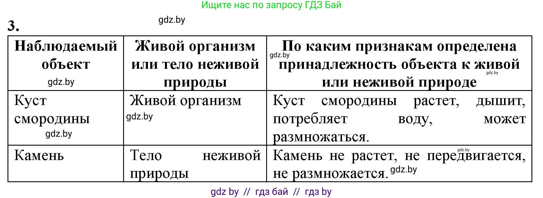 Биология, 6 класс Тетрадь для лабораторных и практических работ, авторы: Лисов Николай Дмитриевич, Борщевская Елена Валерьевна, издательство Аверсэв, Минск, 2023, салатового цвета, страница 13, номер 3, Решение