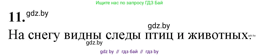 Биология, 6 класс Тетрадь для лабораторных и практических работ, авторы: Лисов Николай Дмитриевич, Борщевская Елена Валерьевна, издательство Аверсэв, Минск, 2023, салатового цвета, страница 31, номер 11, Решение