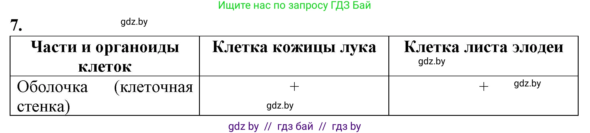 Биология, 6 класс Тетрадь для лабораторных и практических работ, авторы: Лисов Николай Дмитриевич, Борщевская Елена Валерьевна, издательство Аверсэв, Минск, 2023, салатового цвета, страница 23, номер 7, Решение