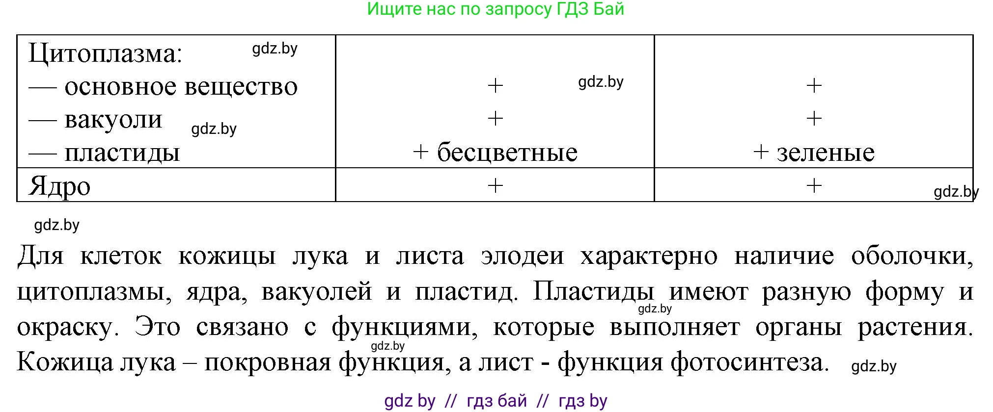 Биология, 6 класс Тетрадь для лабораторных и практических работ, авторы: Лисов Николай Дмитриевич, Борщевская Елена Валерьевна, издательство Аверсэв, Минск, 2023, салатового цвета, страница 23, номер 7, Решение (продолжение 2)