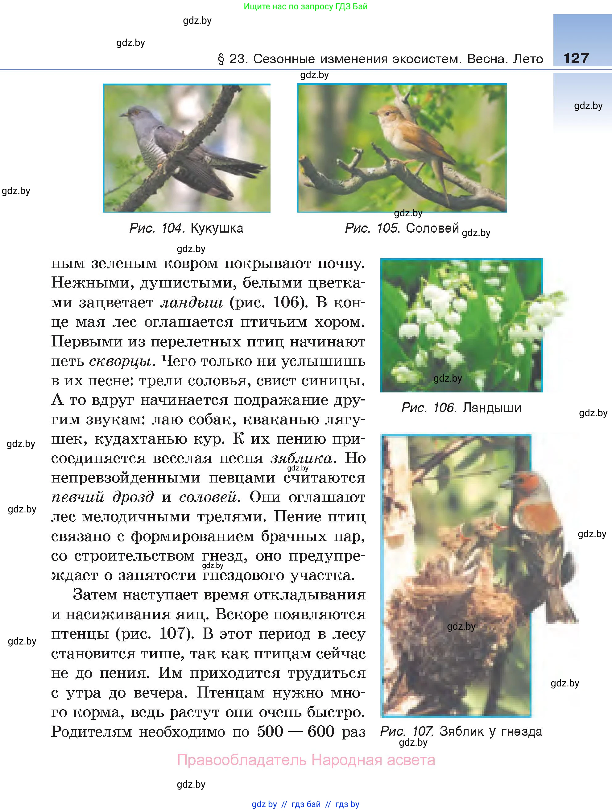Биология, 6 класс Учебник, автор: Лисов Николай Дмитриевич, издательство Народная асвета, Минск, 2021, зелёного цвета, страница 127