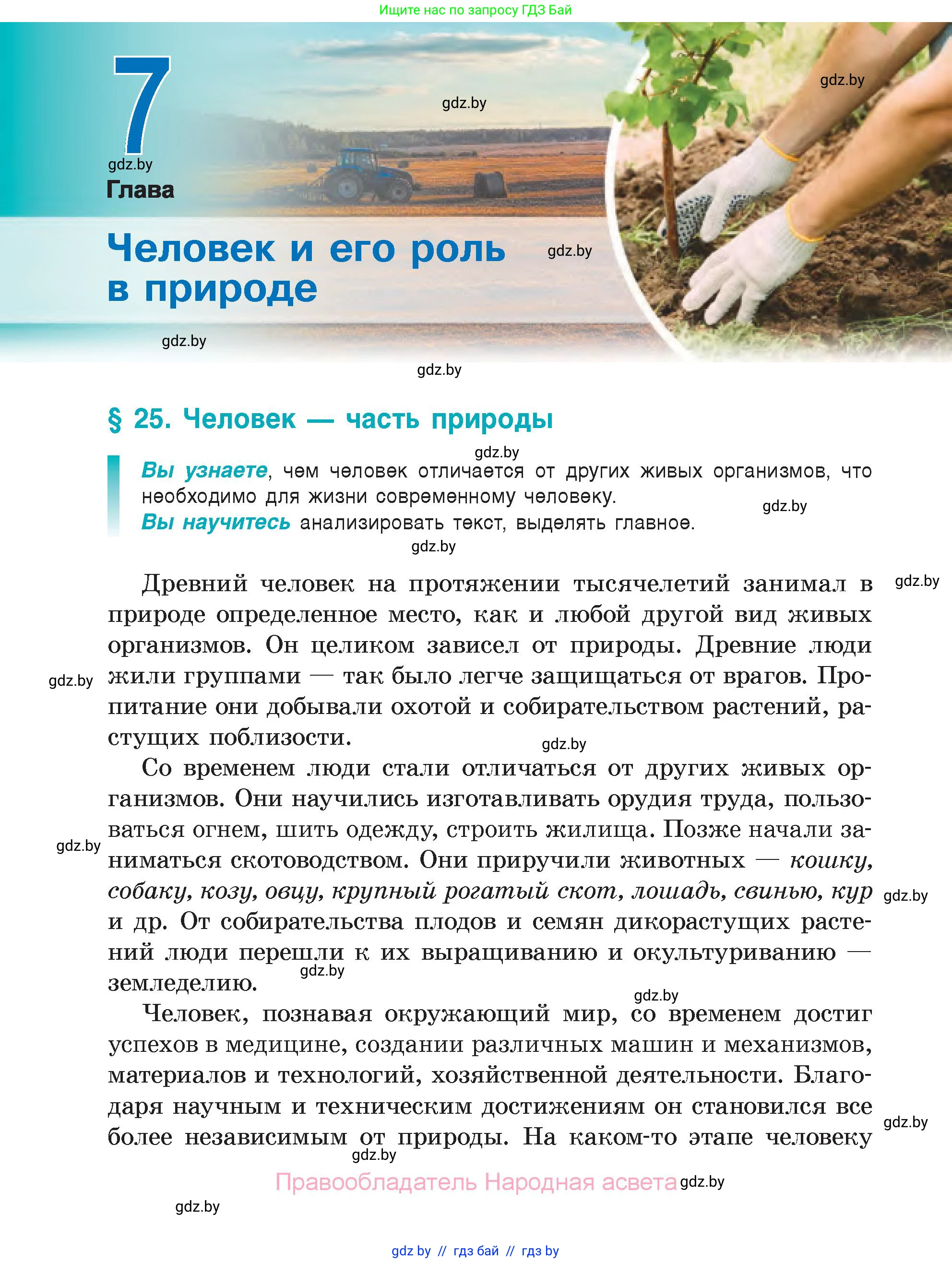 Биология, 6 класс Учебник, автор: Лисов Николай Дмитриевич, издательство Народная асвета, Минск, 2021, зелёного цвета, страница 136