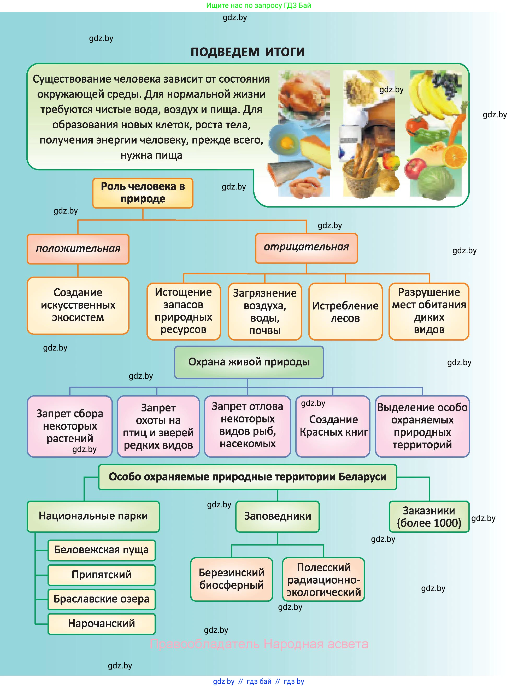 Биология, 6 класс Учебник, автор: Лисов Николай Дмитриевич, издательство Народная асвета, Минск, 2021, зелёного цвета, страница 150