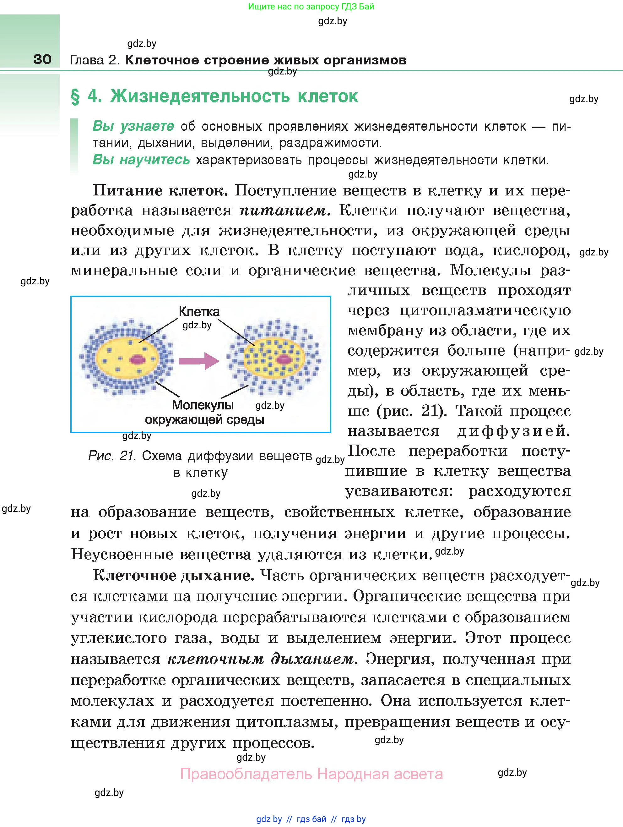 Биология, 6 класс Учебник, автор: Лисов Николай Дмитриевич, издательство Народная асвета, Минск, 2021, зелёного цвета, страница 30