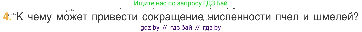 Биология, 6 класс Учебник, автор: Лисов Николай Дмитриевич, издательство Народная асвета, Минск, 2021, зелёного цвета, страница 108, номер 4, Условие