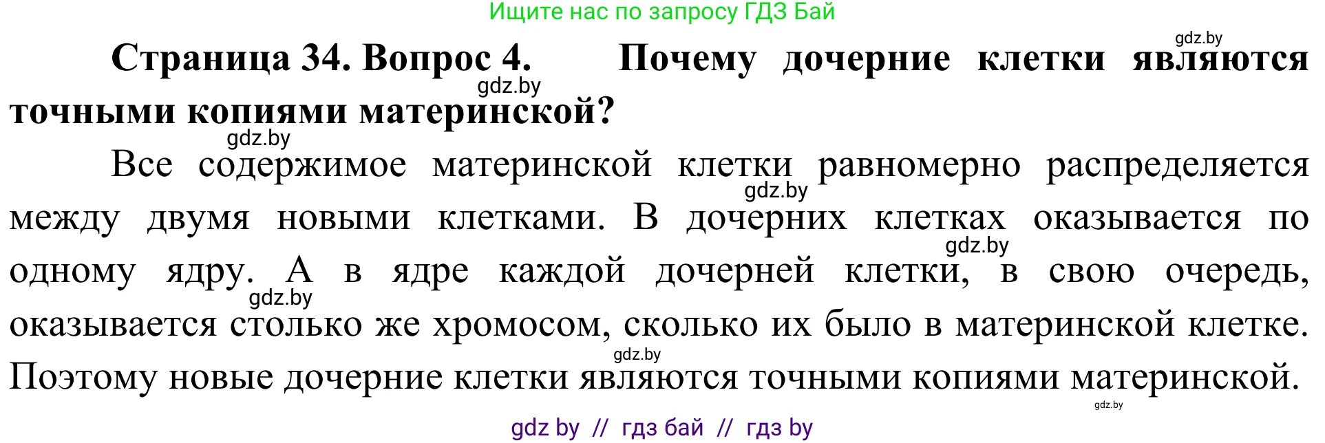 Биология, 6 класс Учебник, автор: Лисов Николай Дмитриевич, издательство Народная асвета, Минск, 2021, зелёного цвета, страница 34, номер 4, Решение
