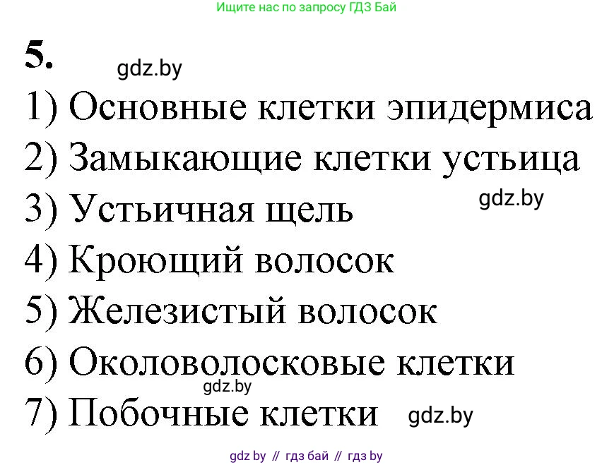Биология, 7 класс Тетрадь для лабораторных и практических работ, автор: Лисов Николай Дмитриевич, издательство Аверсэв, Минск, 2022, зелёного цвета, страница 18, номер 5, Решение