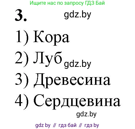 Биология, 7 класс Тетрадь для лабораторных и практических работ, автор: Лисов Николай Дмитриевич, издательство Аверсэв, Минск, 2022, зелёного цвета, страница 39, номер 3, Решение