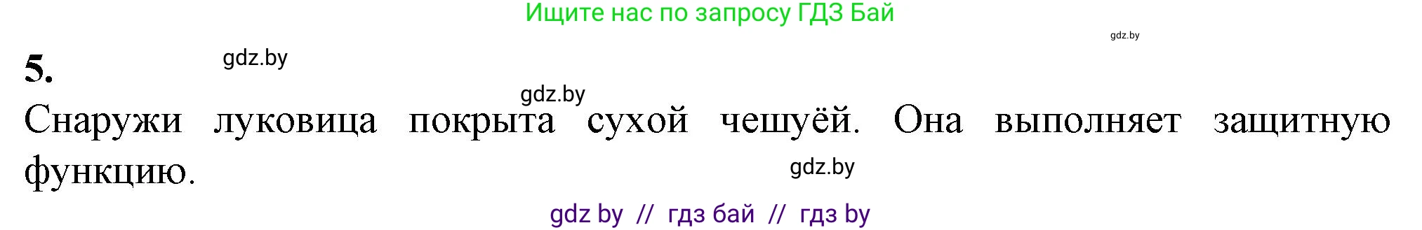 Биология, 7 класс Тетрадь для лабораторных и практических работ, автор: Лисов Николай Дмитриевич, издательство Аверсэв, Минск, 2022, зелёного цвета, страница 40, номер 5, Решение