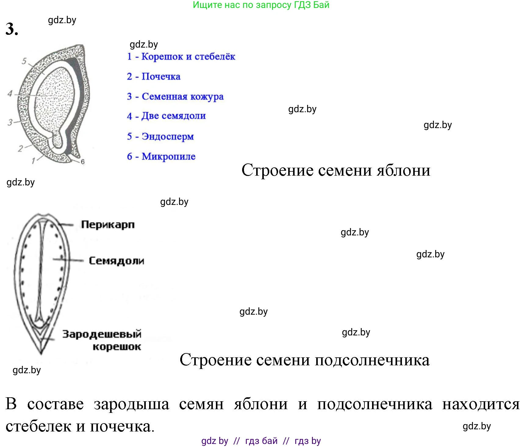 Биология, 7 класс Тетрадь для лабораторных и практических работ, автор: Лисов Николай Дмитриевич, издательство Аверсэв, Минск, 2022, зелёного цвета, страница 58, Решение