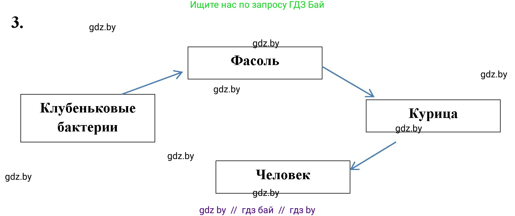 Биология, 7 класс рабочая тетрадь, автор: Лисов Николай Дмитриевич, издательство Аверсэв, Минск, 2022, коричневого цвета, страница 9, номер 3, Решение