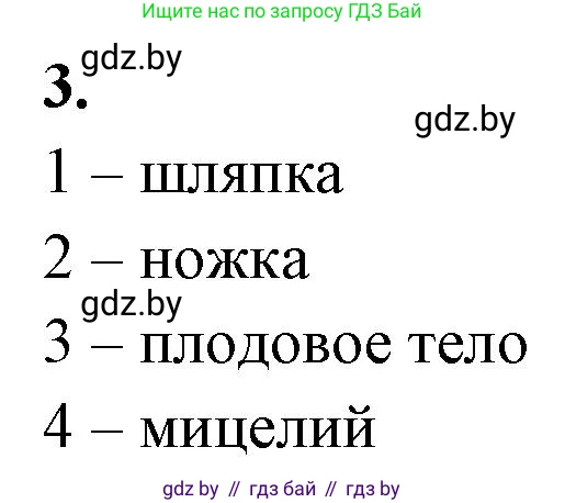Биология, 7 класс рабочая тетрадь, автор: Лисов Николай Дмитриевич, издательство Аверсэв, Минск, 2022, коричневого цвета, страница 26, номер 3, Решение