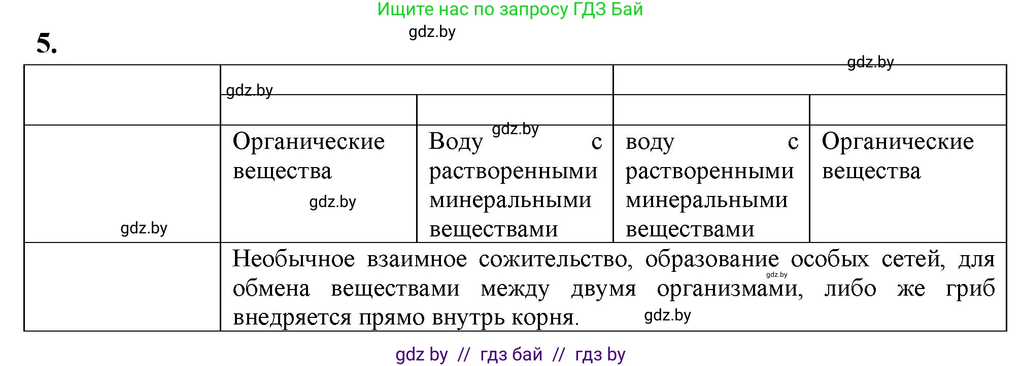 Биология, 7 класс рабочая тетрадь, автор: Лисов Николай Дмитриевич, издательство Аверсэв, Минск, 2022, коричневого цвета, страница 26, номер 5, Решение