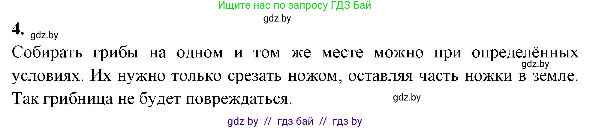 Биология, 7 класс рабочая тетрадь, автор: Лисов Николай Дмитриевич, издательство Аверсэв, Минск, 2022, коричневого цвета, страница 30, номер 4, Решение