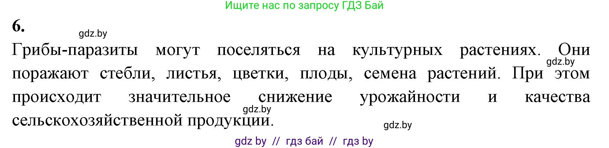 Биология, 7 класс рабочая тетрадь, автор: Лисов Николай Дмитриевич, издательство Аверсэв, Минск, 2022, коричневого цвета, страница 31, номер 6, Решение