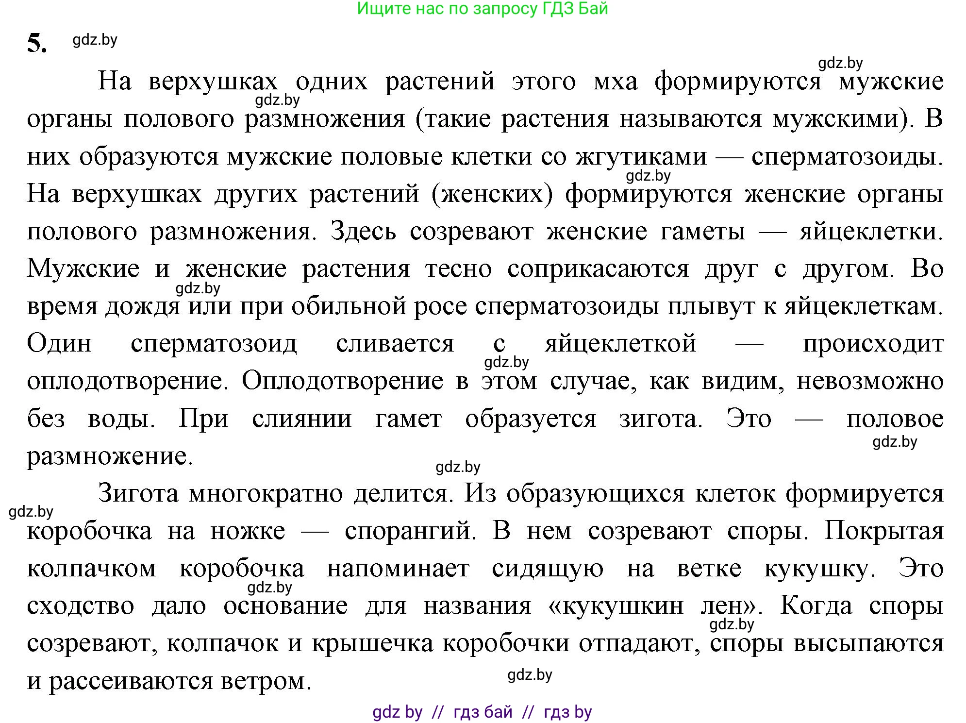 Биология, 7 класс рабочая тетрадь, автор: Лисов Николай Дмитриевич, издательство Аверсэв, Минск, 2022, коричневого цвета, страница 41, номер 5, Решение