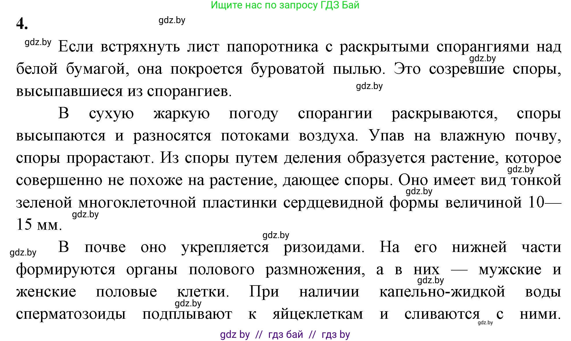 Биология, 7 класс рабочая тетрадь, автор: Лисов Николай Дмитриевич, издательство Аверсэв, Минск, 2022, коричневого цвета, страница 46, номер 4, Решение