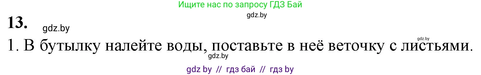 Биология, 7 класс рабочая тетрадь, автор: Лисов Николай Дмитриевич, издательство Аверсэв, Минск, 2022, коричневого цвета, страница 68, номер 13, Решение