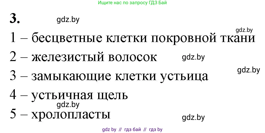 Биология, 7 класс рабочая тетрадь, автор: Лисов Николай Дмитриевич, издательство Аверсэв, Минск, 2022, коричневого цвета, страница 66, номер 3, Решение