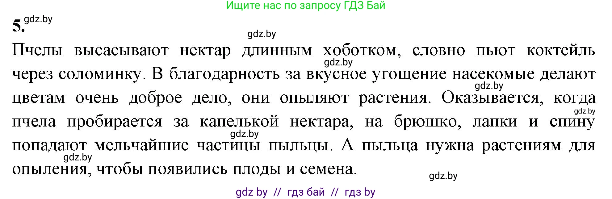 Биология, 7 класс рабочая тетрадь, автор: Лисов Николай Дмитриевич, издательство Аверсэв, Минск, 2022, коричневого цвета, страница 75, номер 5, Решение