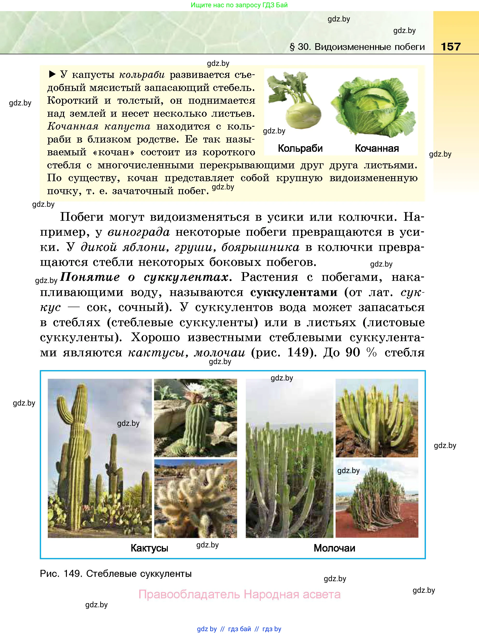 Биология, 7 класс Учебник, автор: Лисов Николай Дмитриевич, издательство Народная асвета, Минск, 2022, зелёного цвета, страница 157