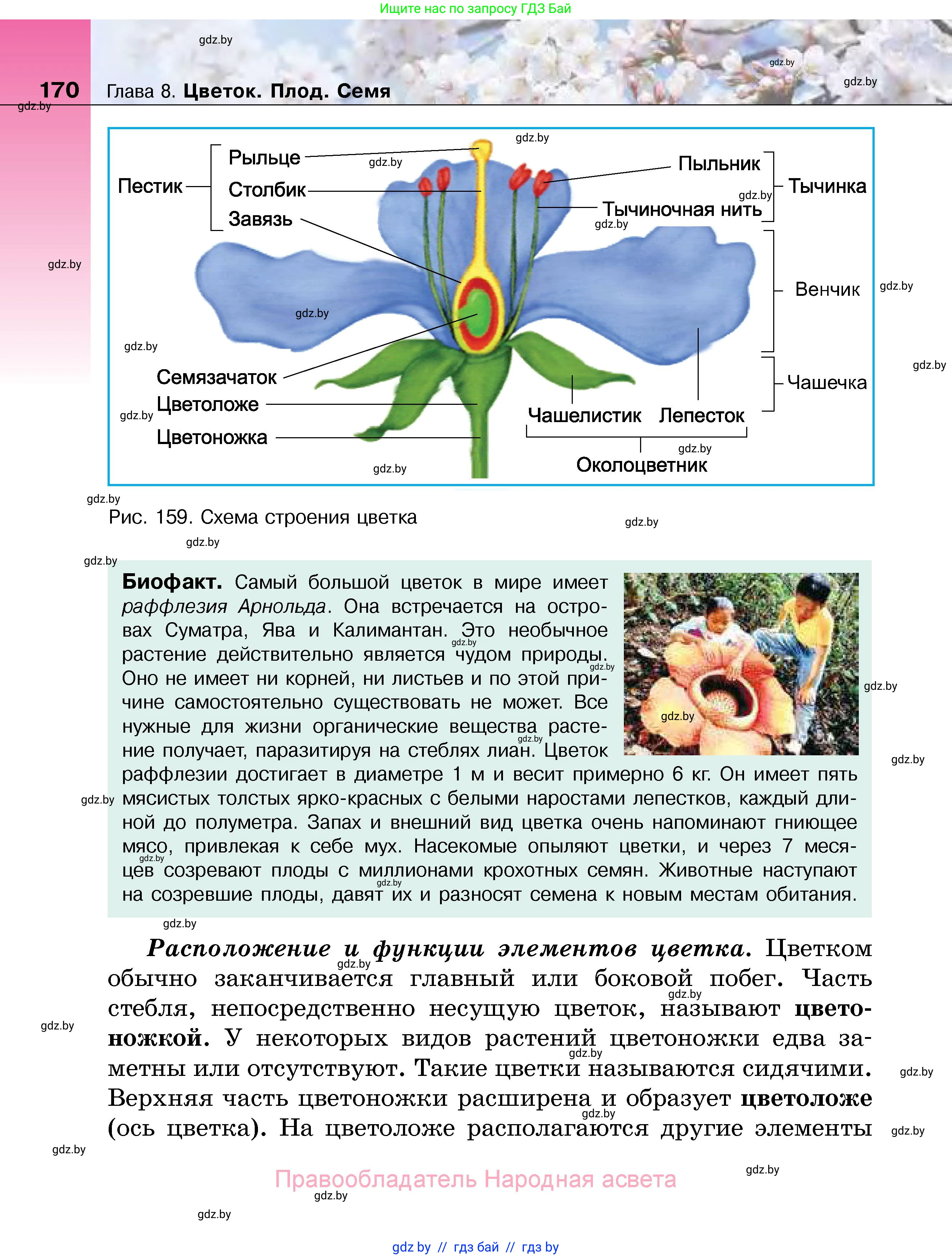 Биология, 7 класс Учебник, автор: Лисов Николай Дмитриевич, издательство Народная асвета, Минск, 2022, зелёного цвета, страница 170
