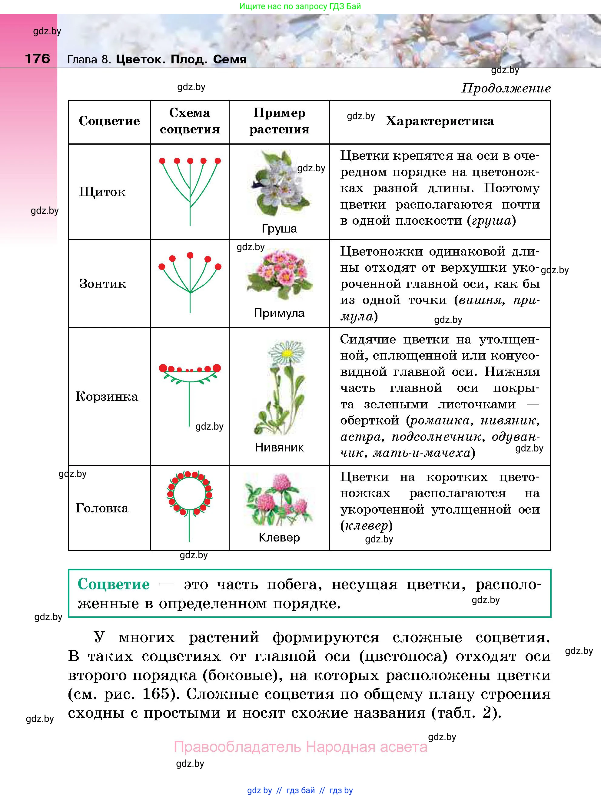 Биология, 7 класс Учебник, автор: Лисов Николай Дмитриевич, издательство Народная асвета, Минск, 2022, зелёного цвета, страница 176