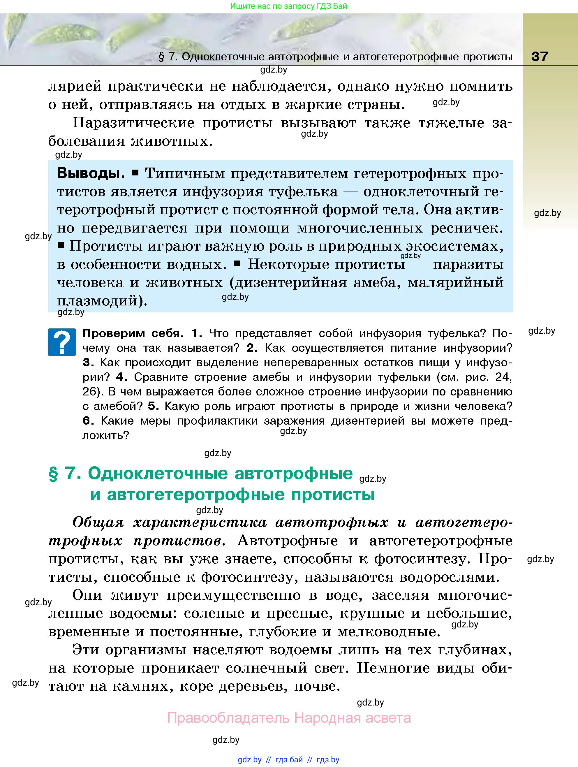 Биология, 7 класс Учебник, автор: Лисов Николай Дмитриевич, издательство Народная асвета, Минск, 2022, зелёного цвета, страница 37