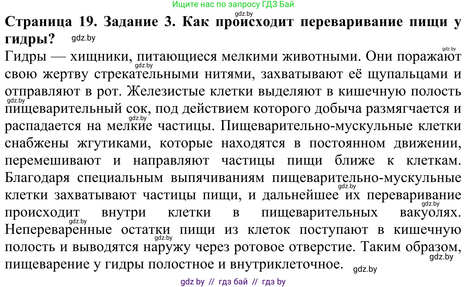 Биология, 8 класс Учебник, авторы: Бедарик Ирина Геннадьевна, Бедарик Александр Евгеньевич, Иванов Владимир Николаевич, издательство Адукацыя i выхаванне, Минск, 2023, зелёного цвета, страница 19, номер 3, Решение
